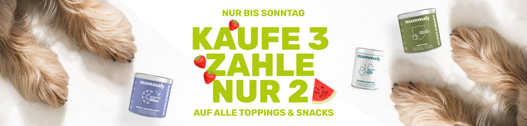 Nachtkerzenöl