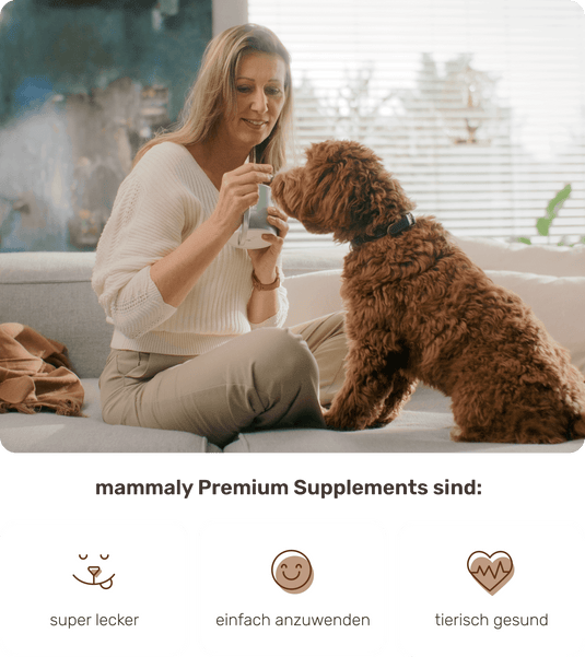 Supplements – Braucht mein Hund das wirklich?