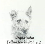 Ungarische Fellnasen e.V.