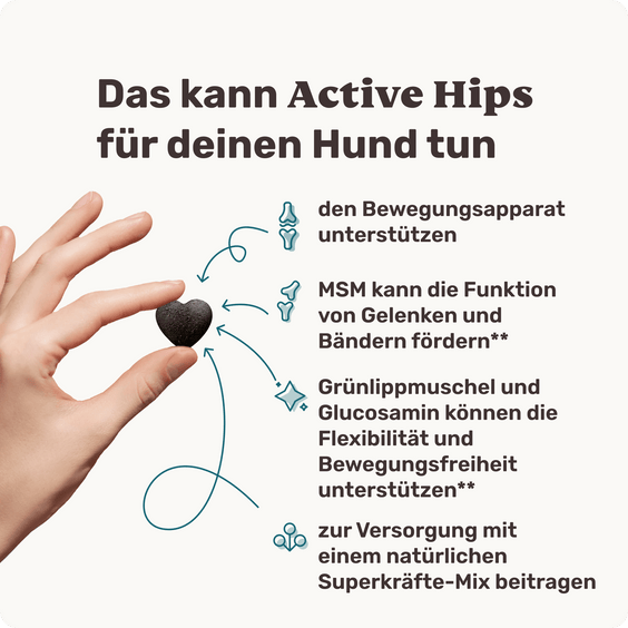 Hunde Gelenksnack Active Hips Produktvorteile