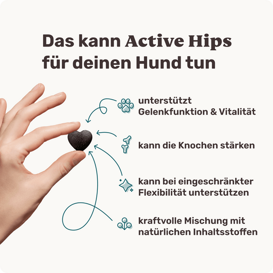 Hunde Gelenksnack Active Hips Produktvorteile