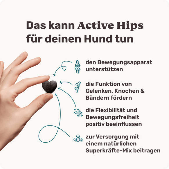 Hunde Gelenksnack Active Hips Produktvorteile