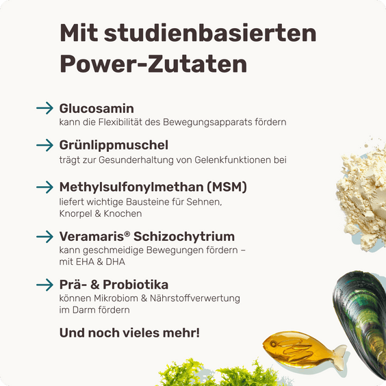 Hunde Gelenksnack Active Hips Inhaltsstoffe