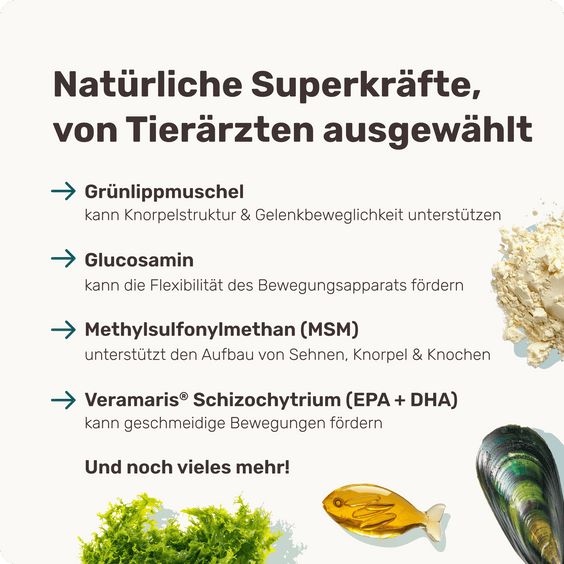 Hunde Gelenksnack Active Hips Inhaltsstoffe