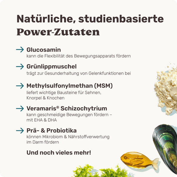 Hunde Gelenksnack Active Hips Inhaltsstoffe