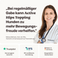 Hunde Gelenkpulver Active Hips Topping Tierarztempfehlung