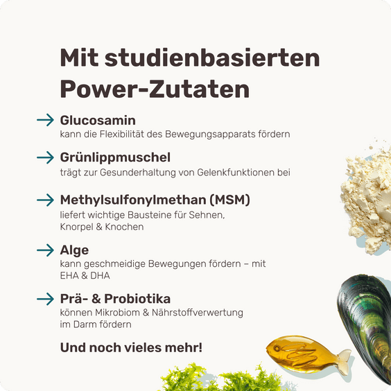 Hunde Gelenkpulver Active Hips Topping Inhaltsstoffe