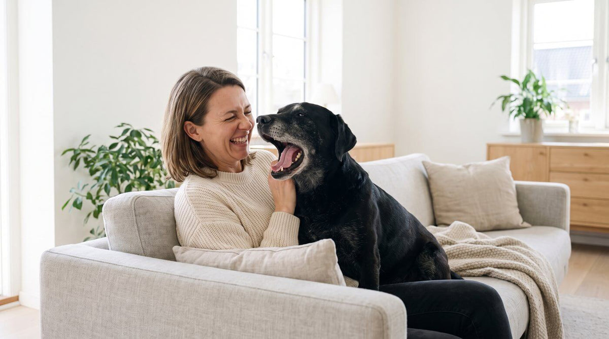 Jessica und Luna auf dem Sofa, Luna gähnt