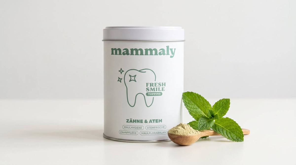 Fresh Smile Topping Dose mit Messlöffel und Minzzweig