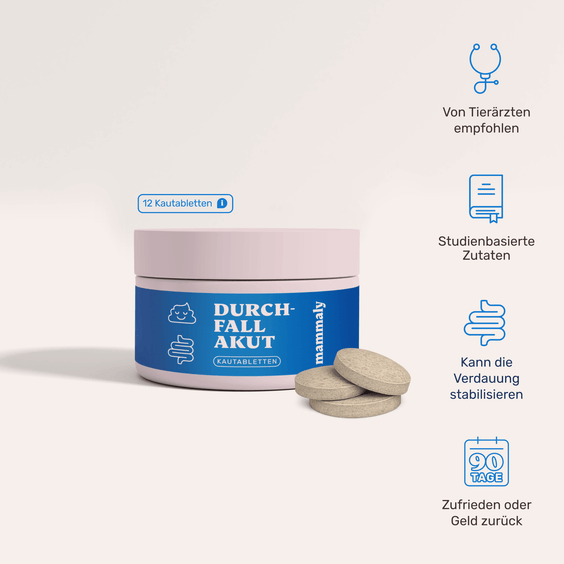 Hunde Durchfall Akut Kautabletten mit Präbiotika und Bentonit – Produktverpackung