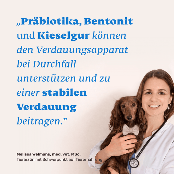 Hunde Durchfall Akut Kautabletten – Tierärztin empfiehlt Kombination aus Präbiotika, Bentonit und Kieselgur zur Unterstützung der Verdauung