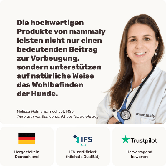 Dentalspray für Hunde Easy Fresh Tierarztempfehlung