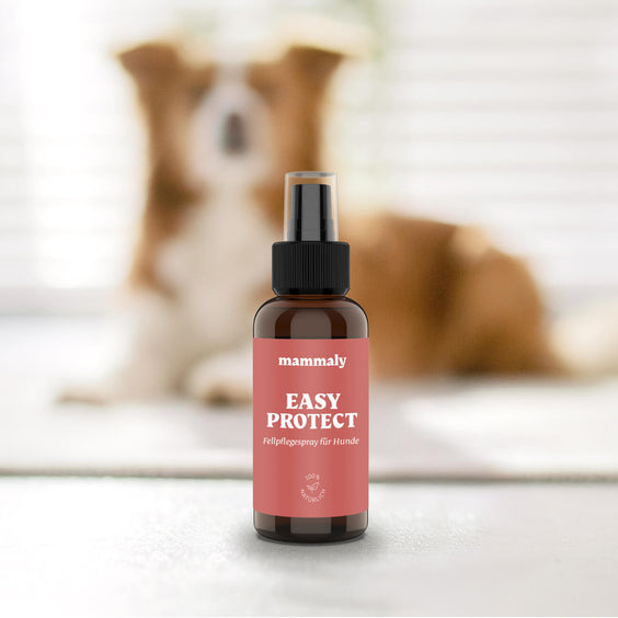 Easy Protect Fellpflege-Spray für Hunde
