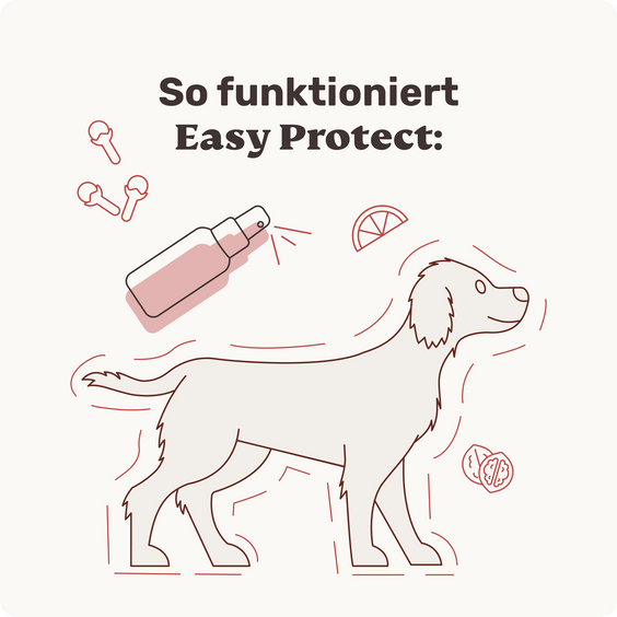 Easy Protect Fellpflege-Spray für Hunde