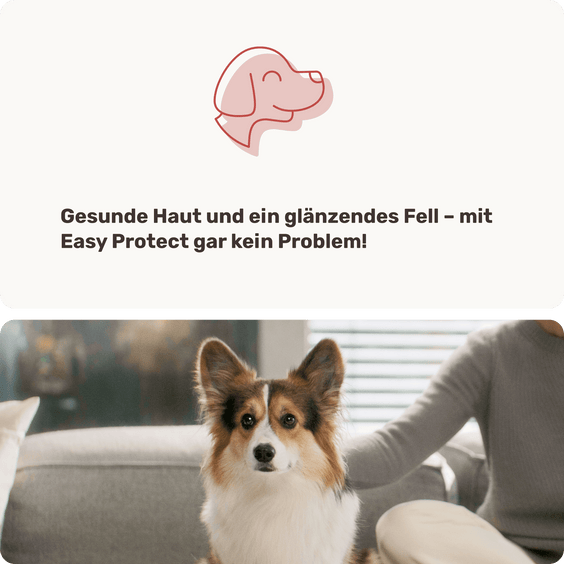 Easy Protect Fellpflege-Spray für Hunde Hintergrundwissen