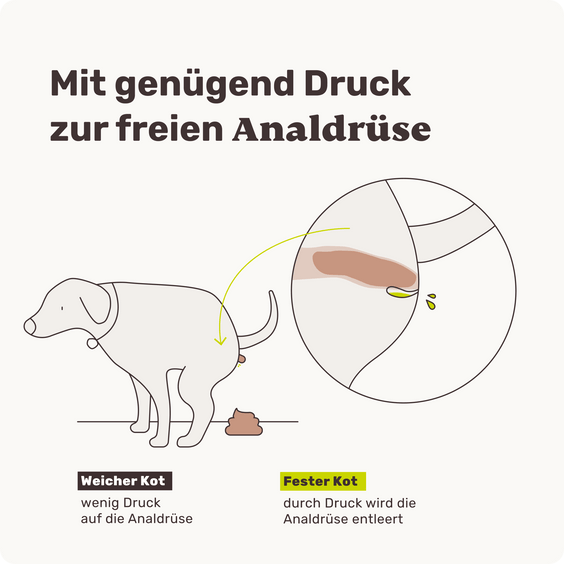 Hunde Ballaststoff-Snack Easy Squeezy