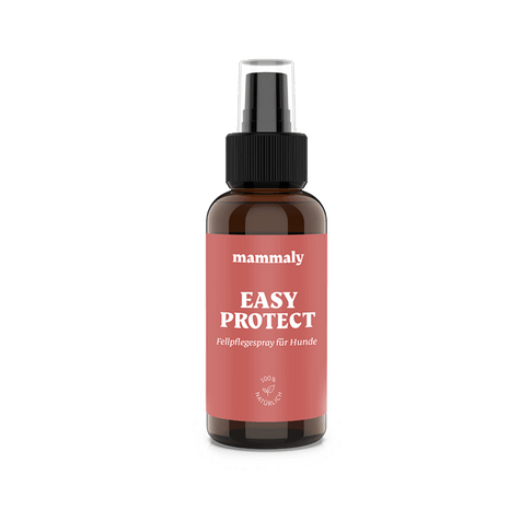 Easy Protect