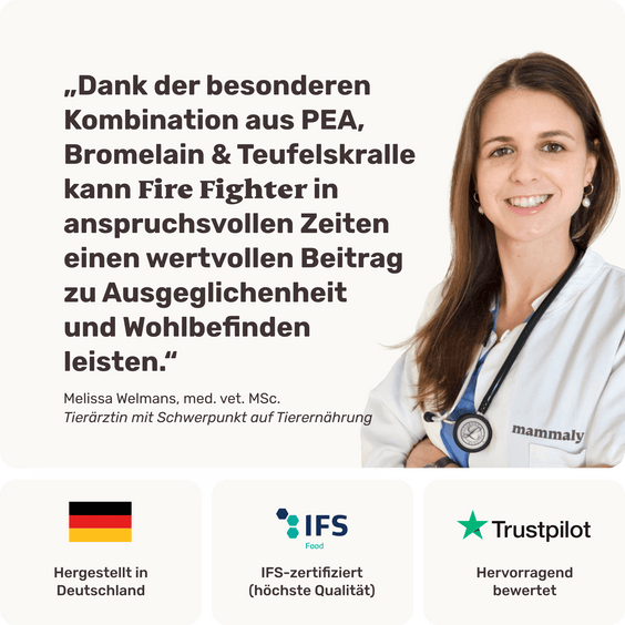 Hunde-Snack bei chronischen Schmerzen Fire Fighter Tierarztempfehlung