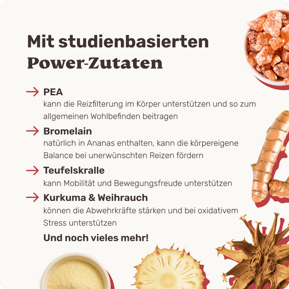 Hunde-Snack bei chronischen Schmerzen Fire Fighter Inhaltsstoffe