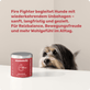 Hunde-Snack bei chronischen Schmerzen Fire Fighter Hintergrundwissen
