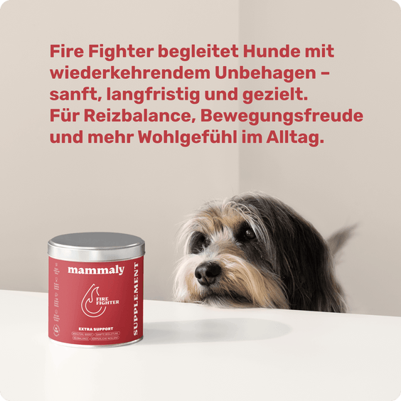 Hunde-Snack bei chronischen Schmerzen Fire Fighter Hintergrundwissen
