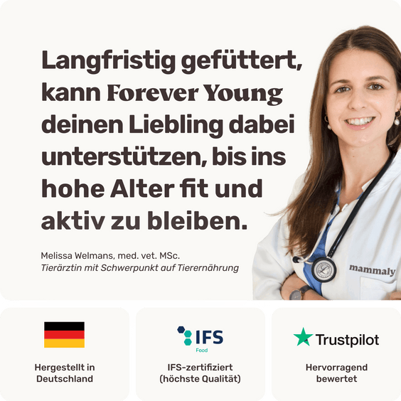 Hunde Seniorsnack Forever Young Tierarztempfehlung
