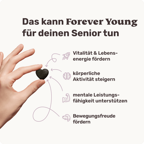 Hunde Seniorsnack Forever Young Produktvorteile