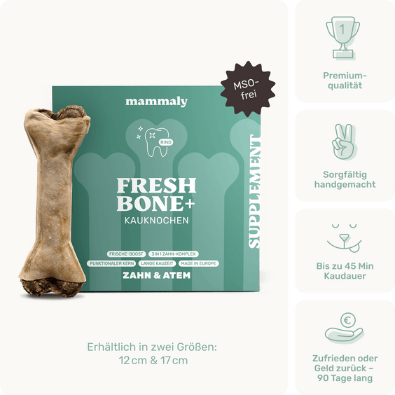 Fresh Bone+ Kauknochen für Zahnpflege & Atemfrische Produktverpackung