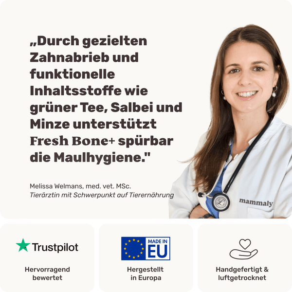 Kauknochen für Zahnpflege & frischen Atem | Fresh Bone+ | mammaly