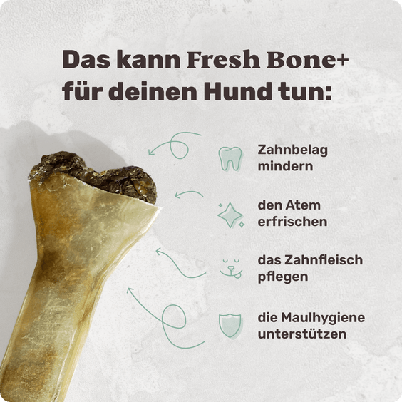 Fresh Bone+ Zahnpflege-Kauknochen mit Funktion Produktvorteile
