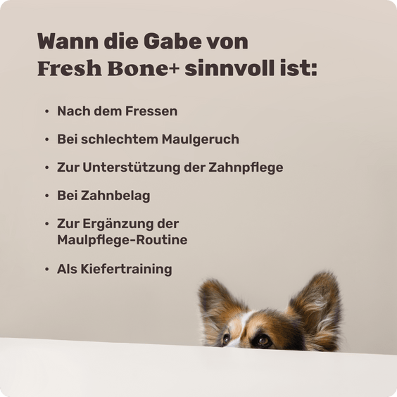 Anwendungssituationen für Fresh Bone+