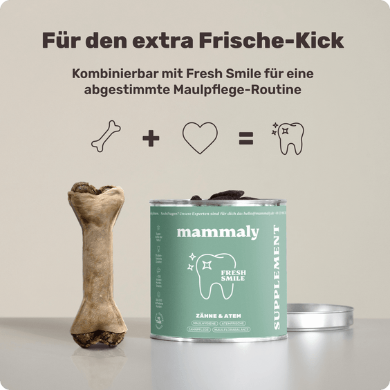 Fresh Bone+ – Booster-Effekt mit Fresh Smile Zahnpflege-Snacks