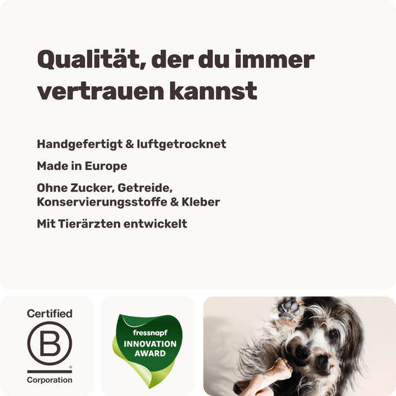 Hochwertige Herstellung in Europa