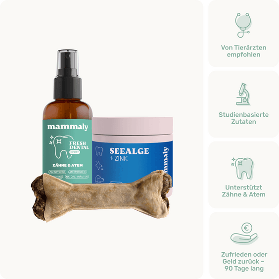 Frischer Atem Bundle