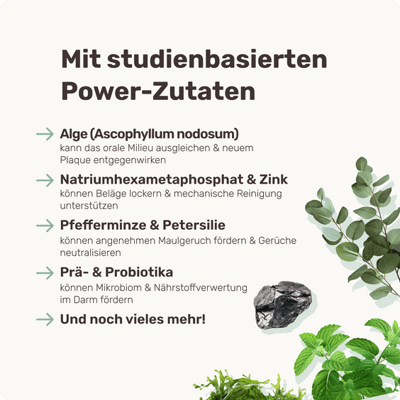 Hunde Zahnpflege-Pulver Fresh Smile Topping Inhaltsstoffe