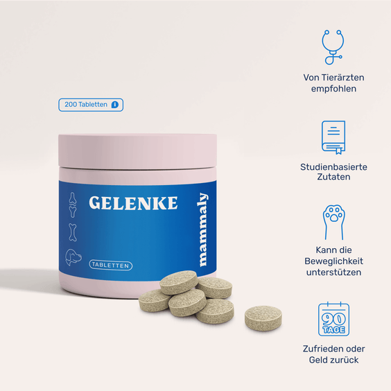 Hunde Gelenktabletten mit Grünlippmuschel und MSM – Produktverpackung mit Tabletten
