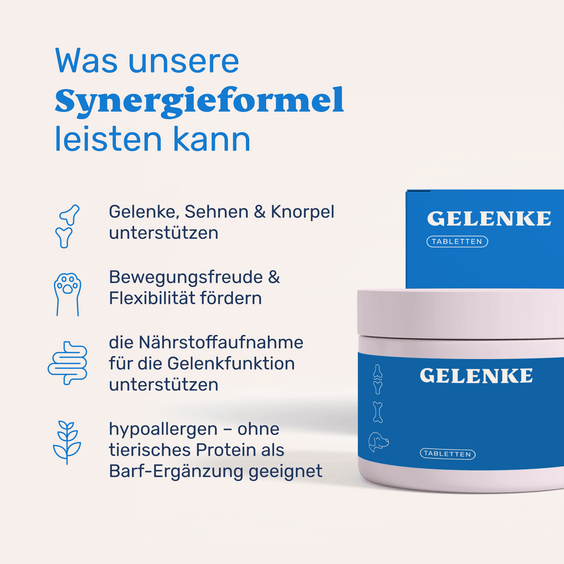 Hunde Gelenktabletten – Synergieformel unterstützt Gelenke, Beweglichkeit und Nährstoffaufnahme