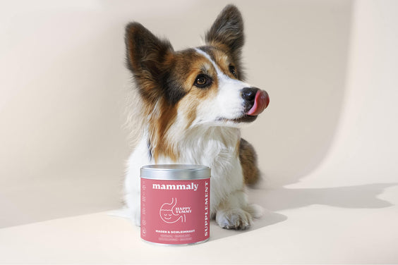 Happy Tummy - mammaly