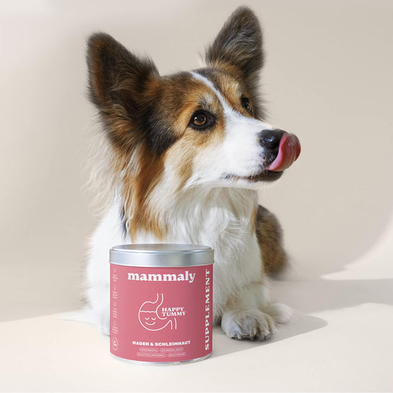 Happy Tummy - mammaly