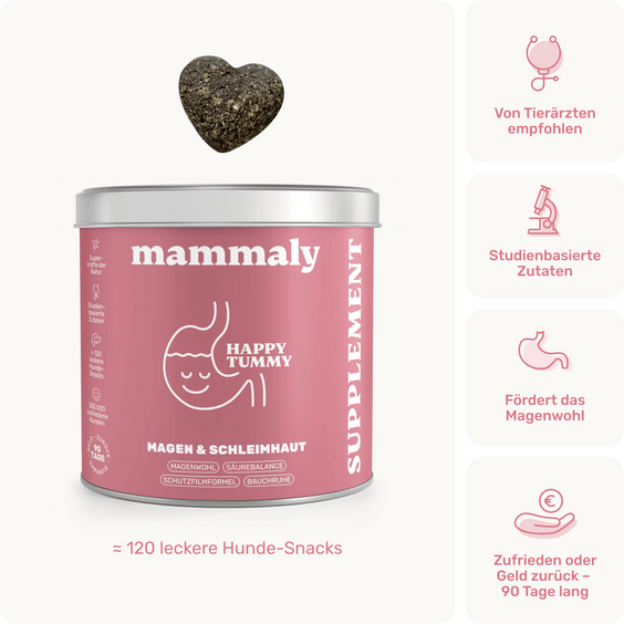 Magen & Schleimhaut-Snack für Hunde Happy Tummy Produktverpackung
