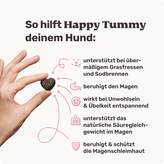 Magen & Schleimhaut-Snack für Hunde Happy Tummy Produktvorteile
