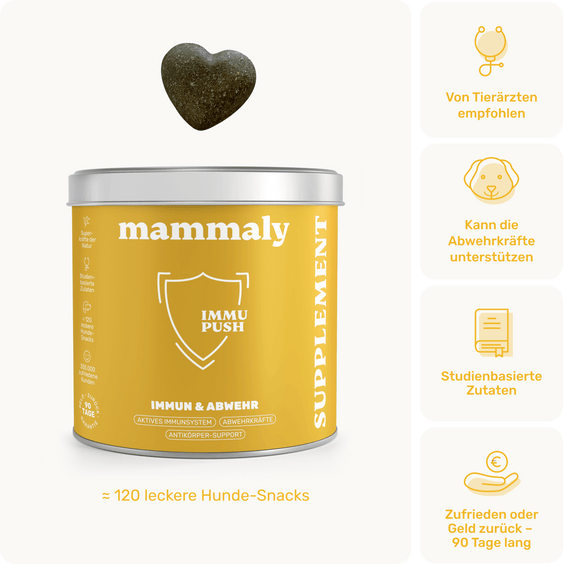 Hunde Abwehrkräfte-Snack Immu Push Produktverpackung