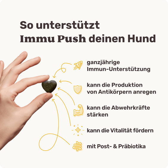 Hunde Abwehrkräfte-Snack Immu Push Produktvorteile