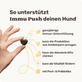Hunde Abwehrkräfte-Snack Immu Push Produktvorteile