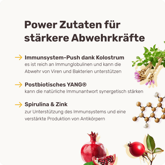 Hunde Abwehrkräfte-Snack Immu Push Inhaltsstoffe