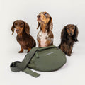 Drei Dackel mit der Eli Dog Bag in Olive