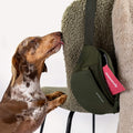 Dackel schnuppert an der Eli Dog Bag auf einem Stuhl