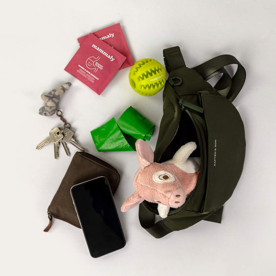 Geöffnete Eli Dog Bag mit Inhalt