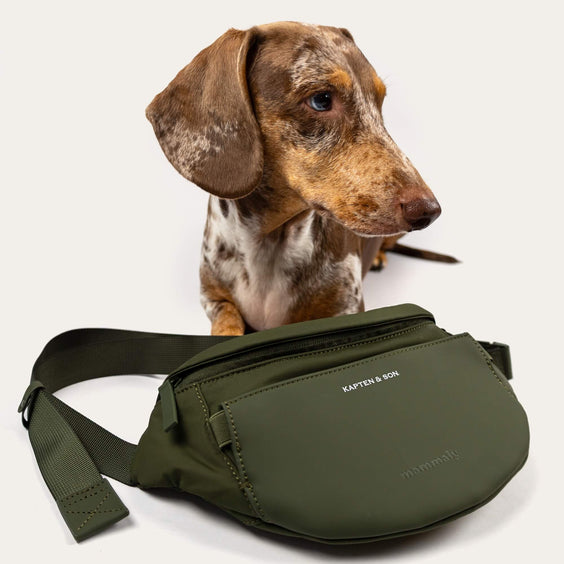 Dackel schaut über die Eli Dog Bag
