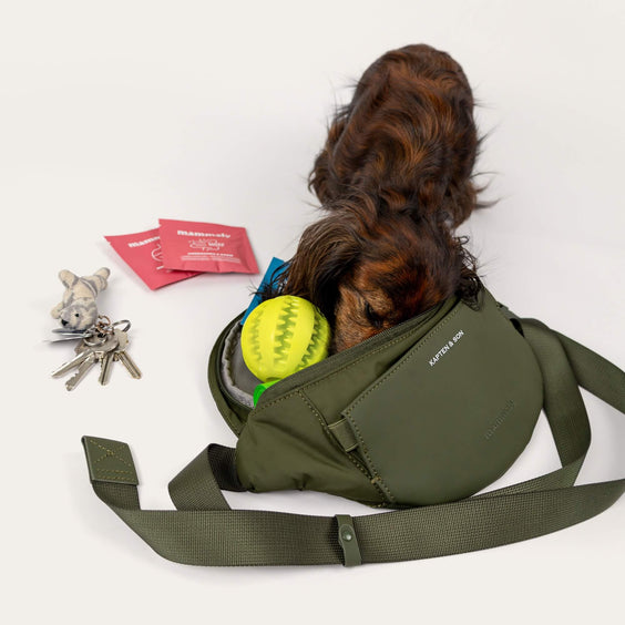 Dackel mit Ball neben der geöffneten Eli Dog Bag